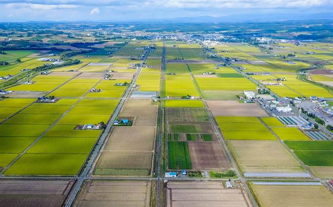 書中拍下北海道綠油油的風景，一改以往民眾心中白雪靄靄的印象。(翻攝照片／林郁平台北傳真