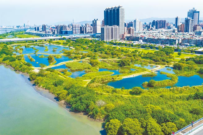 2021年第一季甲山林、海悦、创意家等大型代销推案，锁定自住客为主的重划区或精华地段推案。（甲山林提供）