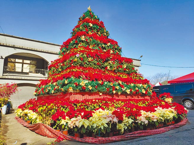 復兴区近期举办耶诞节活动，设计以圣诞红布置的金字塔耶诞树，吸引民眾前去打卡。（姜霏摄）
