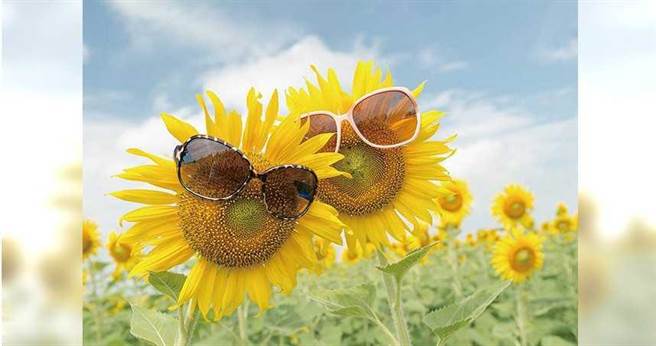 舒心BAR／吴若权：日子不顺意　更要顺心过！（图／123RF）