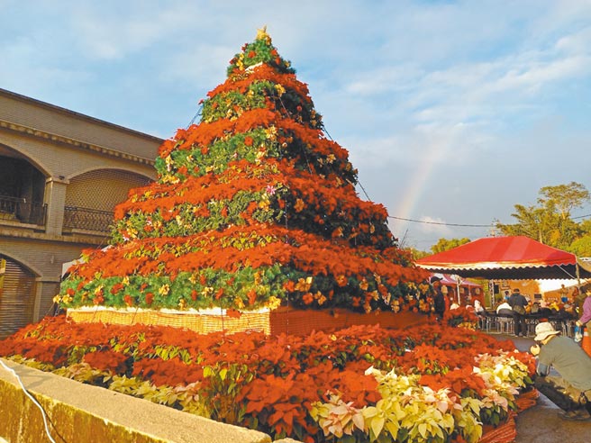 第4届桃园耶诞山城红花节19日隆重开幕，使用2000盆耶诞红，打造5米高的巨型埃及红花金字塔意象。（市府农业局提供／黄婉婷桃园传真）