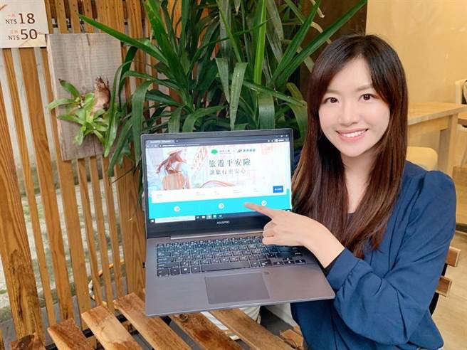 国泰人寿与东南旅平社合作，推一站购足的网路投保旅平险。图／业者提供
