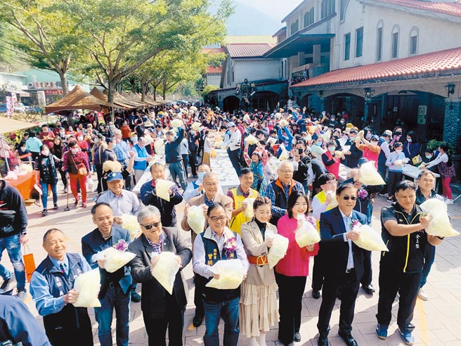 信义乡踏雪寻梅20日启动，南投县长林明溱（右二）率眾人制作高丽菜泡菜。（廖志晃摄）