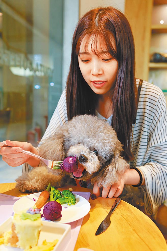 杭州一家專為寵物開設的咖啡店，一位顧客給自家寵物狗餵食。（中新社資料照片）