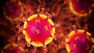 在英國變異的新冠病毒可能更具傳染性