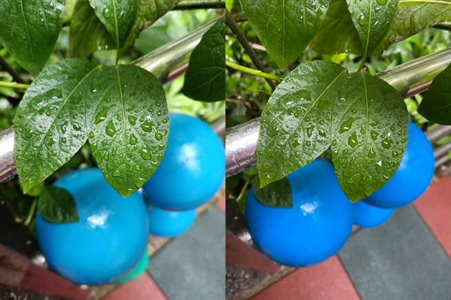 realme X7 Pro与iPhone 11 Pro Max(右）的日间实拍对比（1）。（黄慧雯摄）
