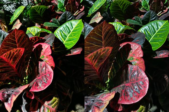 realme X7 Pro与iPhone 11 Pro Max(右）的夜间实拍对比（4）。（黄慧雯摄）
