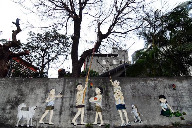 台东市日式宿舍墙内芒果树因病枯死，墙上的小朋友再也没有芒果可以偷摘。（庄哲权摄）