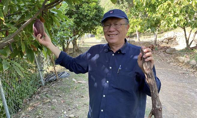 简秀枝》小鹿秘境就在「阿信巧克力农场」！(图/爱传媒提供)