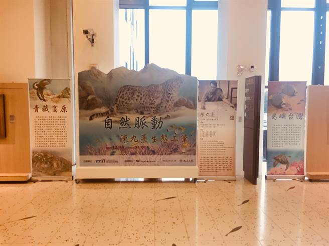 国立海洋科技博物馆结合陈九熹作品，举办「自然脉动 生态工笔展」。（国立海洋科技博物馆提供／陈彩玲基隆传真）