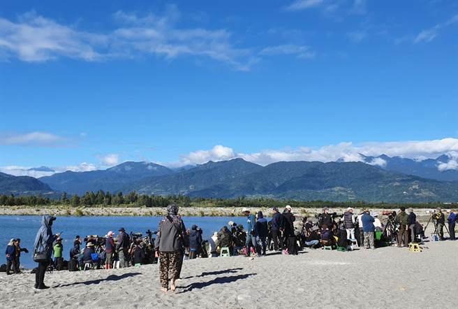 超级迷鸟「漠䳭 」现踪台东，吸引全国各地鸟友大阵仗朝圣。（庄哲权摄）