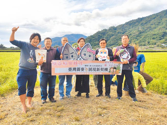 花莲县玉里镇杂粮产销第2班积极推动稻田转作杂粮，全班种植荞麦面积90公顷，均通过产销履歷验证。（农粮署东区分署提供／王志伟花莲传真）
