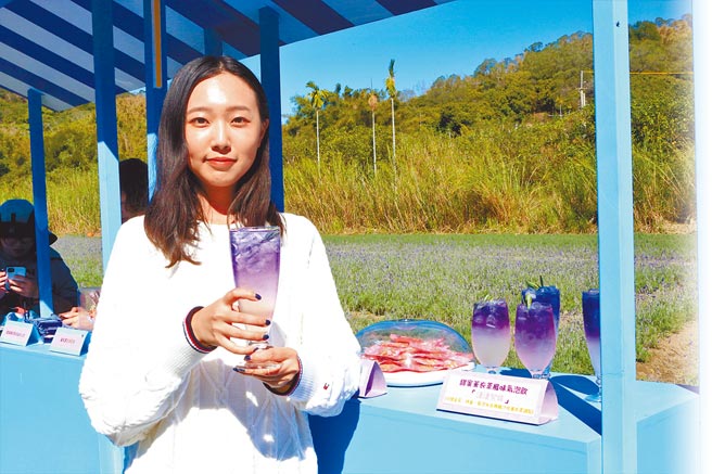 苗栗县西湖乡休閒产业发展协会，在龙洞村鸭母坑种植6分多地薰衣草花田，利用薰衣草开发各式创意商品。（巫静婷摄）