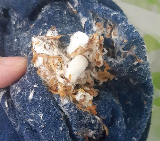 天兵老公忘了将口袋中的香菸取出，导致人妻洗衣之后大崩溃，直问大家该怎么处理白目老公。（图／翻摄自爆怨公社）