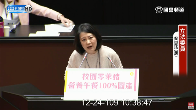 民进党立委吴思瑶。（图／立法院直播画面／中时新闻网）