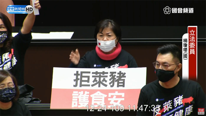 国民党立委杨琼璎强调，国民党立场就是要白纸黑字挡下莱猪进校园，不解为何不直接从法律面修正。（图／立法院直播画面／中时新闻网）