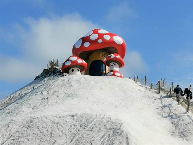 七股盐山新年装置艺术亮相，6米巨大蘑菇象徵Good! Good! Good!。（刘秀芬摄）