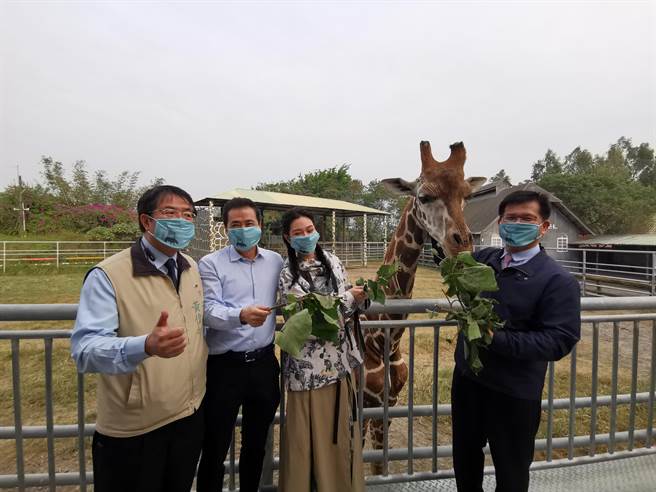 艺人曾莞婷（右二）担任活动亲善大使，与林佳龙（右一）、黄伟哲（左）喂食可爱的长颈鹿。（刘秀芬摄）
