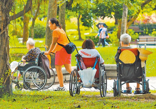 外公因为开刀，亲戚决定替他请一位全天候的看护。图为外籍家庭看护工推着坐轮椅的老人家到公园散步。（本报系资料照片）