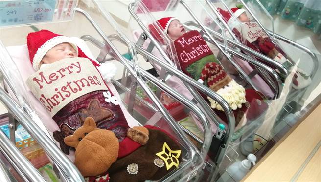 亚东医院为刚出生的宝宝们穿上可爱圣诞装，每个宝宝在婴儿床上戴上圣诞帽，身体套进圣诞袜里，模样相当可爱。（图／亚东医院提供）