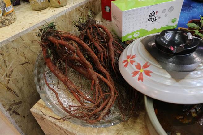 苗栗县政府农业处在西湖乡执行智慧农业计画，试种高经济价值作物「丹参」。（巫静婷摄）