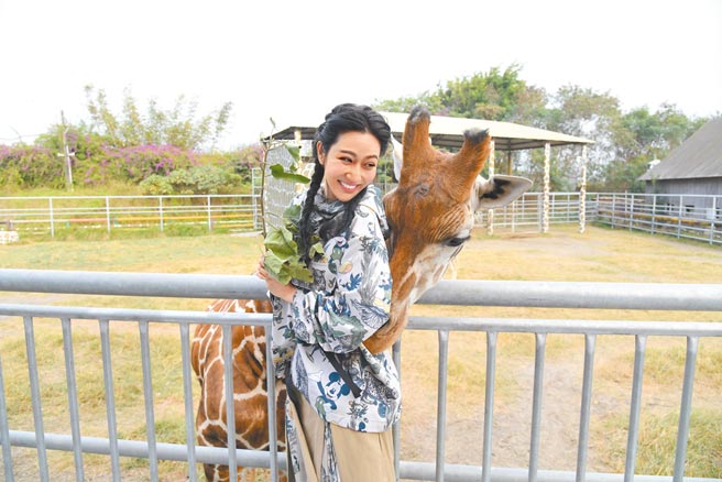 曾莞婷昨被人气最旺的长颈鹿「皮皮」偷亲背。（三立提供）