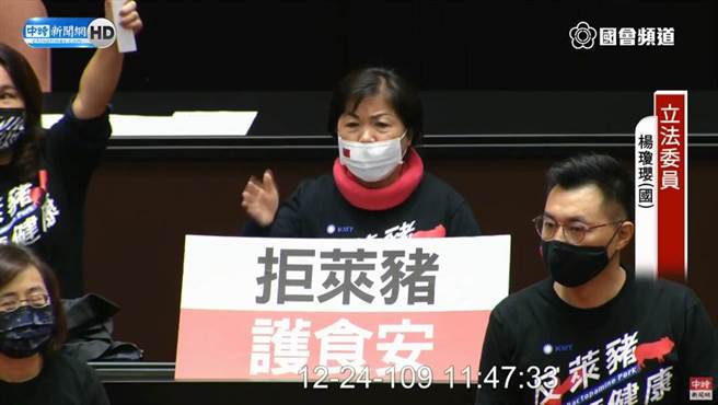 国民党立委杨琼璎强调，国民党立场就是要白纸黑字挡下莱猪进校园，不解为何不直接从法律面修正。（图／立法院直播画面／中时新闻网）
