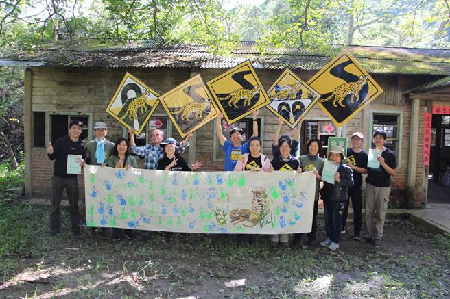 山猫森林保护公馆浅山生态，启动北河园区「买森林。护山猫」计画，吸引300多人集资响应，成为台湾首件公眾集资买生态栖地保护环境的成功案例，也在园区内记录到石虎栖息。（何冠娴摄）