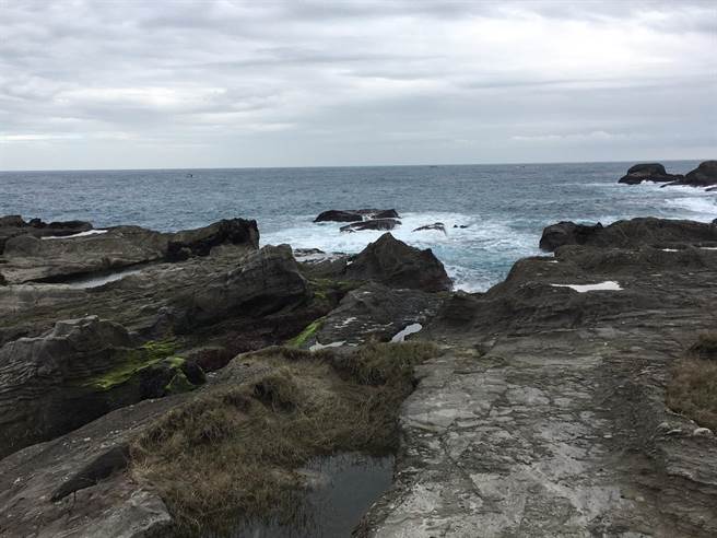 林姓婦人，今早到石梯坪採集海菜，疑不明原因失足落海，同行友人發現時，已無呼吸心跳，警消、海巡獲報趕緊將林女送醫。 （警方提供／羅亦晽花蓮傳真）