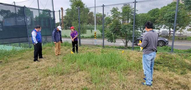 新北市土城国小旋风球场近日有红火蚁入侵，农业局防治人员在球场内发现10多处蚁穴，目前已投药防治。（图由新北市议员黄永昌提供）