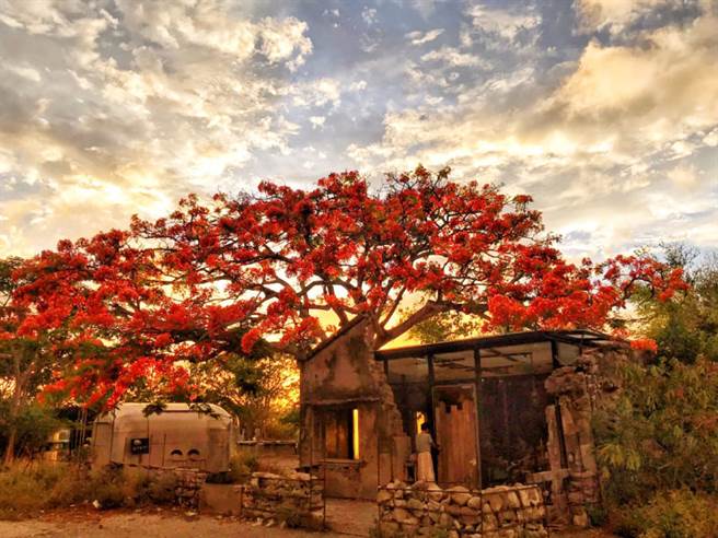 吃在恒春—发现恒春的独特美（上） Let’s go eat in Hengchun(图/EVENT365生活志 万如婷 提供)
