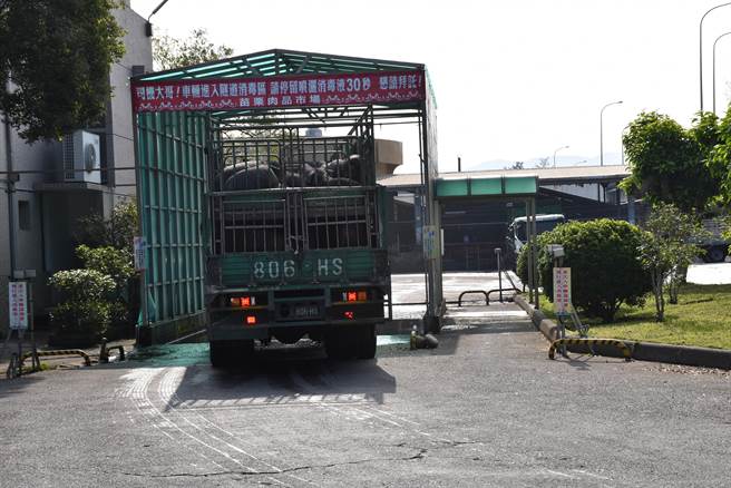 苗栗肉品市场保证全部宰杀批售的都是台湾国产猪。（谢明俊摄）