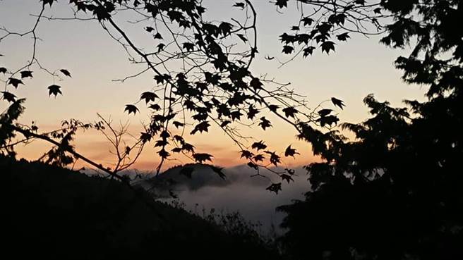 阿里山美景。(李四川 臉書)
