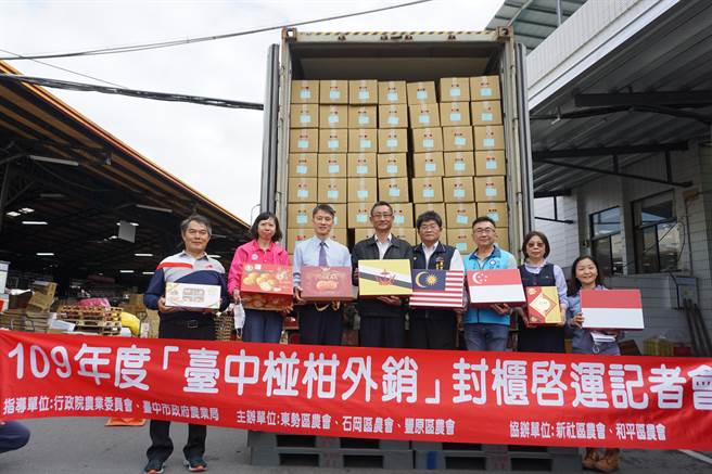 台中市东势区、石冈区、丰原区农会出口40呎货柜椪柑销往新加坡。（王文吉摄）