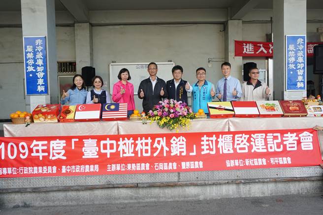 台中市东势区、石冈区、丰原区农会已外销343公吨椪柑，近期将再出口409公吨。（王文吉摄）