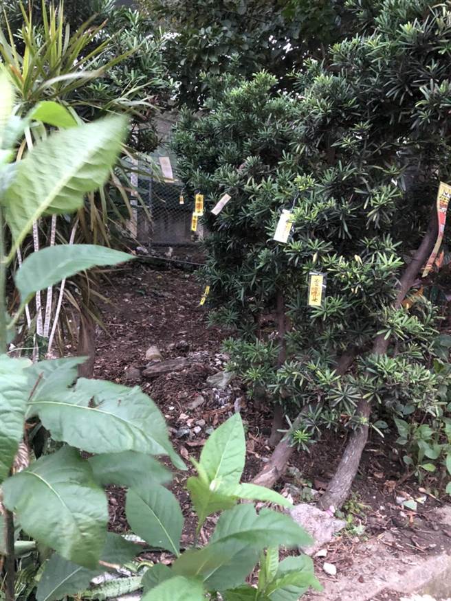 三重里长叶仁德里长贴「符咒」阻偷倒垃圾　效果奇佳再也没有人敢倒了 （戴上容摄）
