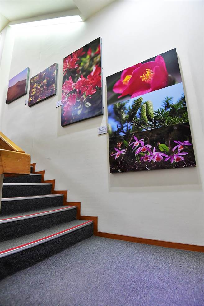 刘光哲作品(政院提供)