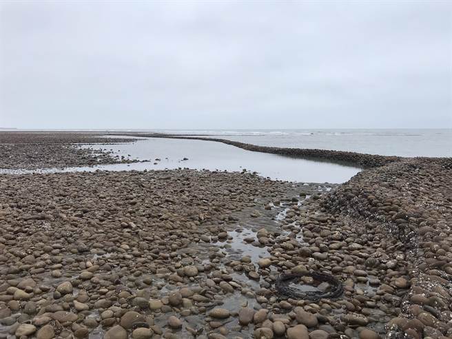 新屋漁獲量最大的3號石滬，已於上月8日正式修復完畢。（黃婉婷攝）