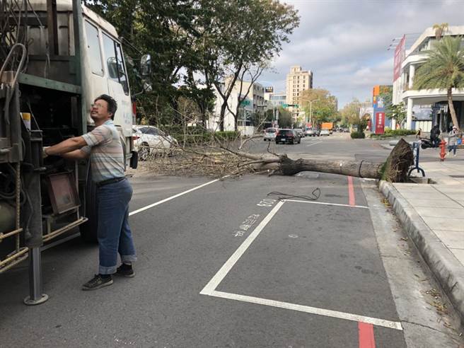 南屯區公益路與大福街口，發生路樹不明原因倒塌。（警方提供／陳世宗台中傳真）