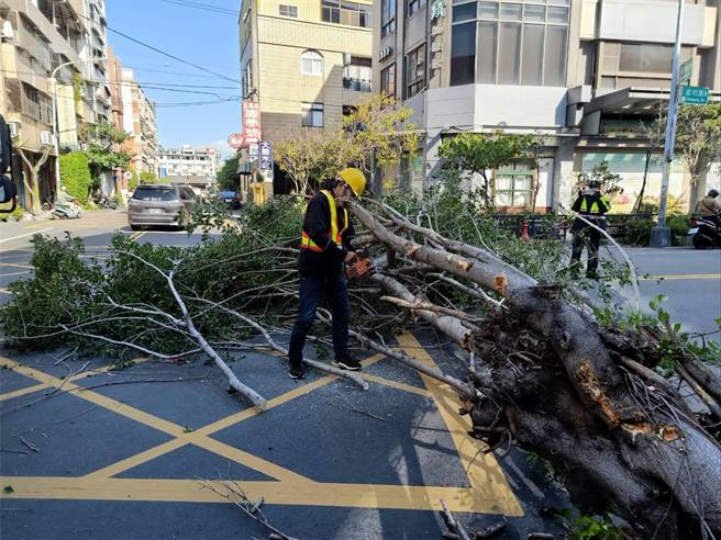 员林清洁队员获报随即派员前往清除。(员林清洁队提供／吴建辉彰化传真)