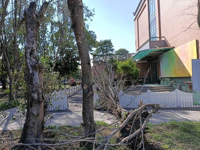 彰化明道大学校园内，也有路树倒塌意外，所幸没有学生受伤。(民眾提供／吴建辉彰化传真)