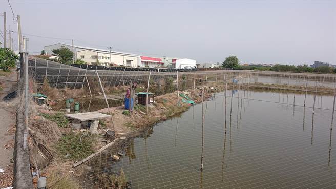 台南市政府农业局提醒，面对寒流来袭，鱼塭应搭设防风棚，加强越冬沟保温。（南市府农业局提供／李宜杰台南传真）