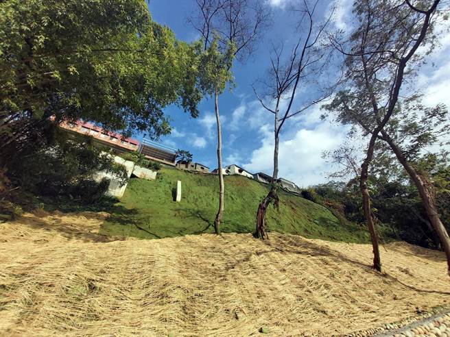 「中93线」完成挂网植生喷植护坡、边梁等復建工程，可减缓强降雨造成的危害。（台中市水利局提供／王文吉台中传真）