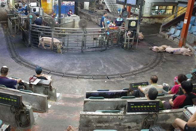 莱猪进口前夕，云林县肉品市场猪价平稳，短时间内不至于下跌。（张朝欣摄）