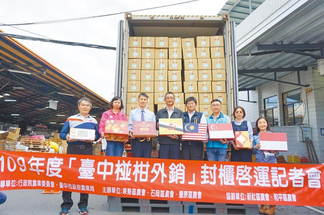 台中市东势区、石冈区、丰原区农会装柜18.5公吨椪柑出口新加坡。（王文吉摄）