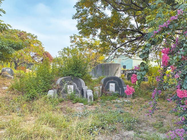 南山公墓横跨台湾400年歷史，南市府重申文资先行，文资调查结果出炉前，不会做任何变动。（曹婷婷摄）