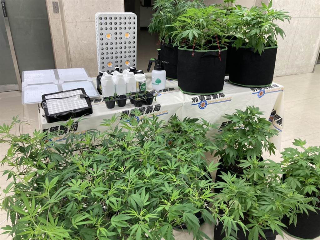 家門口貼 哈草保持鎮定 警搜索真的是大麻工廠