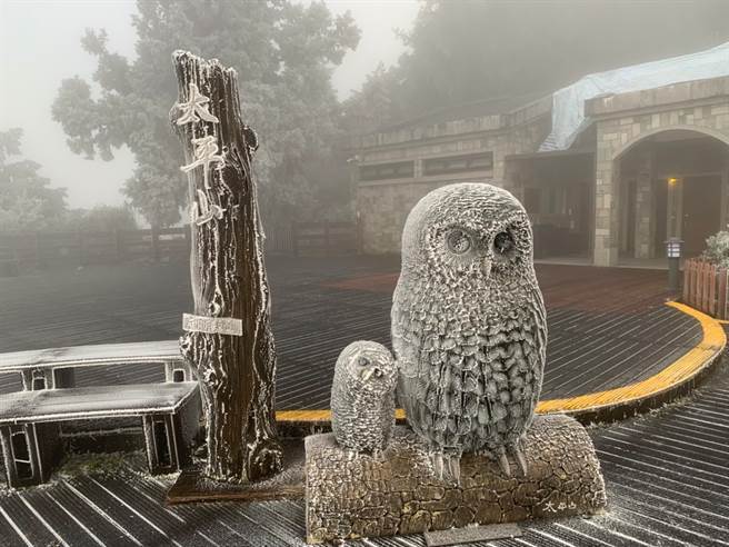 目前太平山溫度-3至-5度間，太平山莊周邊霧淞、結霜明顯，有機會持續一整天。(太平山國家森林遊樂區FB)