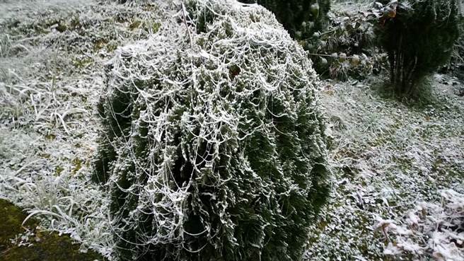 The Xiangyang Police Station, the highest station in Taitung County, dropped the ice this morning and the branches were foggy.  (Provided by the Taitung Guanshan Police Section)