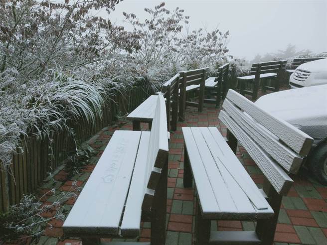 The Xiangyang Forest Recreation Area, located in Hairui Township, Taitung County, fell on the ice glaze this morning (31).  The wood has been covered by ice glaze and appears white.  (Provided by the public)